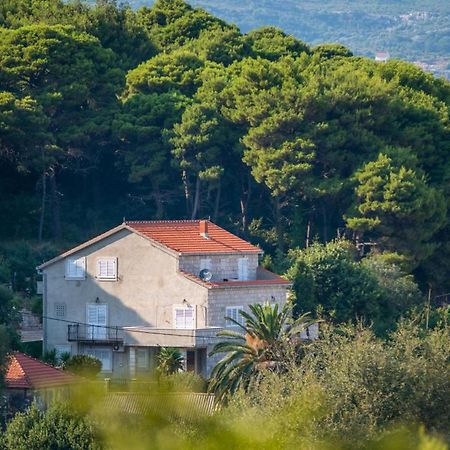 Apartments & Rooms Tapera Dubrovnik Eksteriør billede